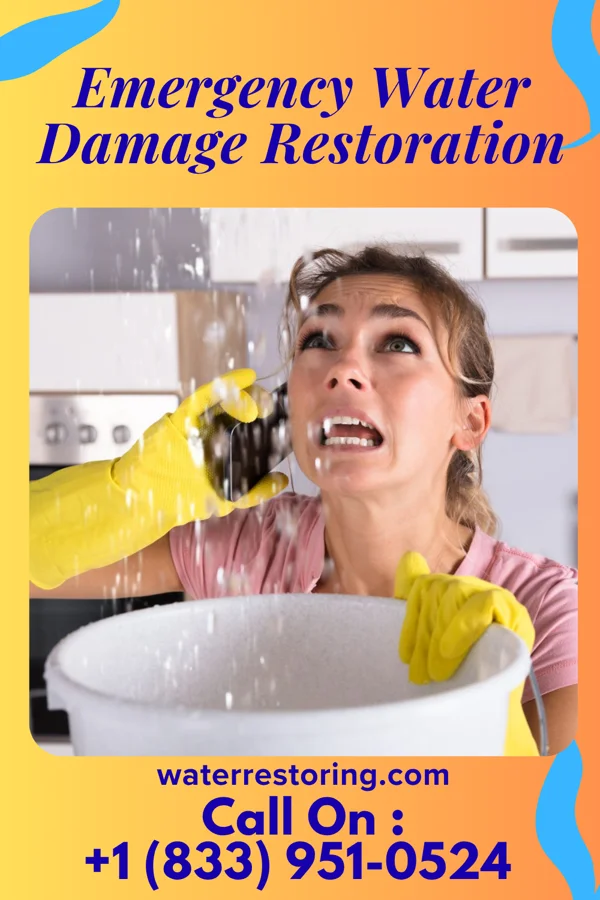 Emergency Water Damage Restoration in Underwood-Petersville, AL